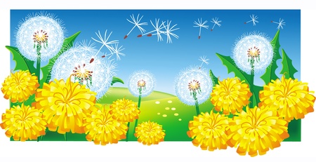Meadow with dandelionsのイラスト素材
