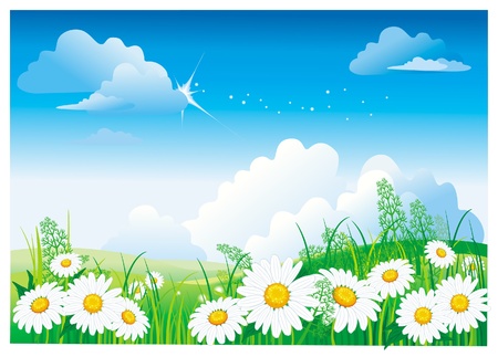 Chamomile on blue skyのイラスト素材