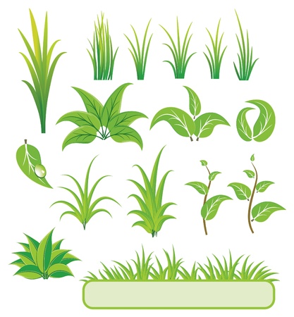 Green elements for designのイラスト素材