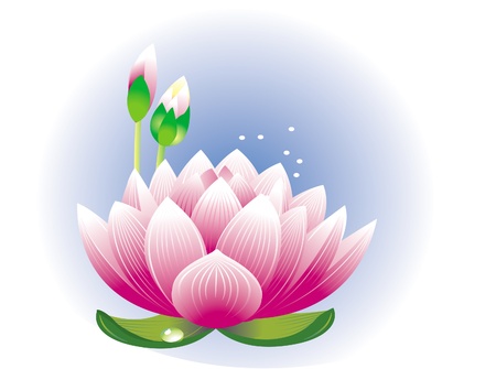 Lotus flowerのイラスト素材
