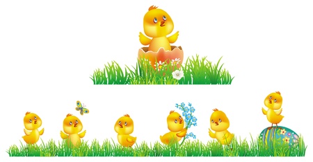 Chicken in grassのイラスト素材