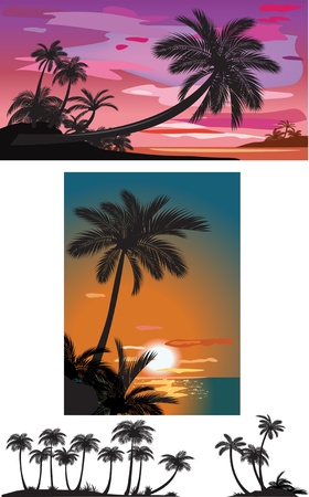 Palm trees at sunsetのイラスト素材