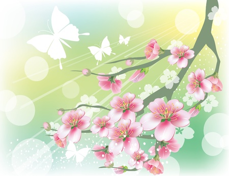 Flowering branchのイラスト素材