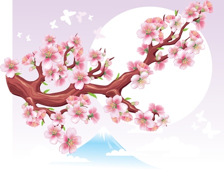 Flowering branch of sakura in the sunのイラスト素材