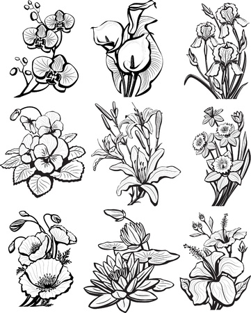 Set of sketches of flowersのイラスト素材
