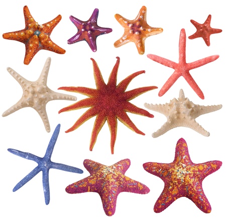 Set of painted sea starの写真素材