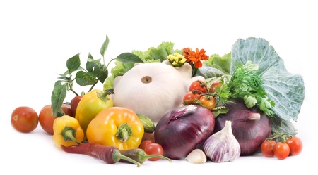 Vegetables on white backgroundの写真素材