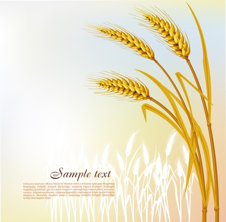 Background with wheatのイラスト素材