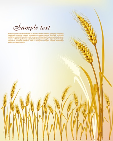 Background with wheatのイラスト素材