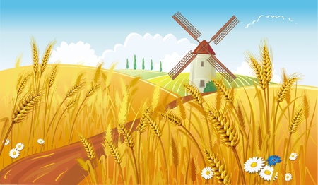 Rural landscape with windmillのイラスト素材