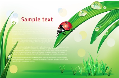 Natural background with ladybirdのイラスト素材