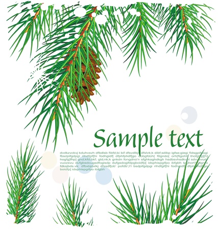 Framework with pine branchesのイラスト素材