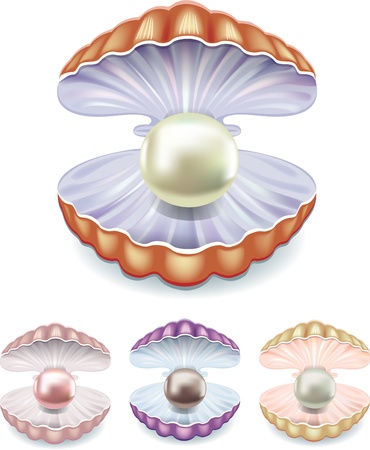 Set of pearls in the shells of different colorsのイラスト素材
