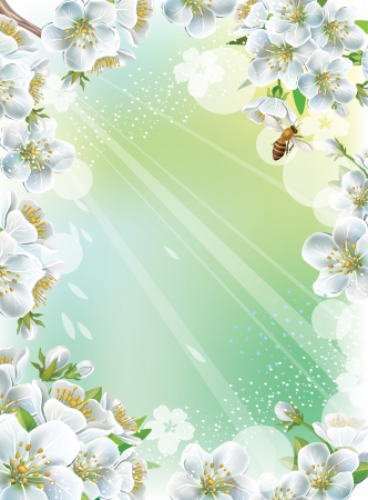 Frame with cherry blossomのイラスト素材