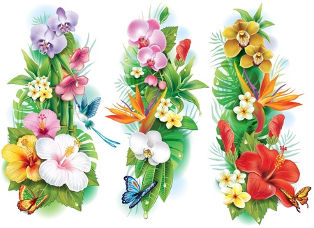 Arrangement from tropical flowers and leavesのイラスト素材