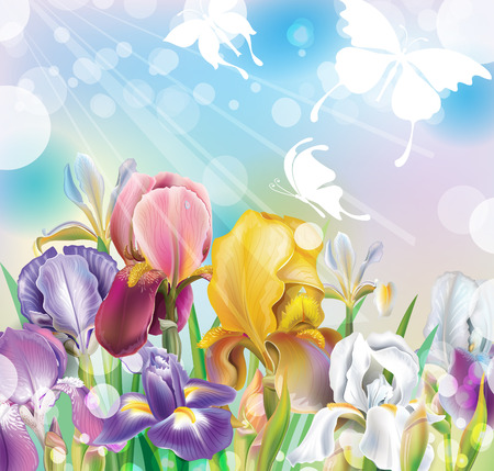 Background with Iris flowersのイラスト素材