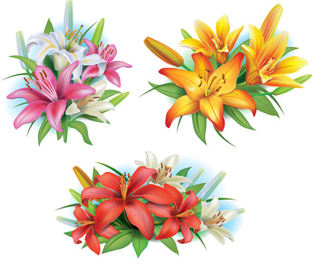 Arrangement from lilies flowersのイラスト素材