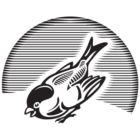 Sparrowのイラスト素材