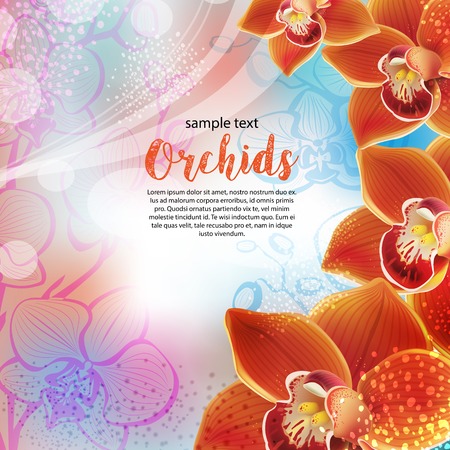 Greeting vector card with orchids flowersのイラスト素材