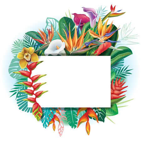 Banner against a background of tropical flowersのイラスト素材