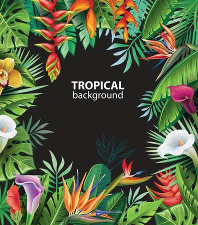 Background with tropical plantsのイラスト素材