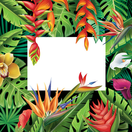 Frame from tropical plants and flowersのイラスト素材