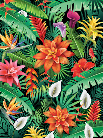 Background from tropical flowersの写真素材