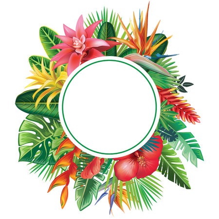 Round Frame from tropical plants and flowersのイラスト素材