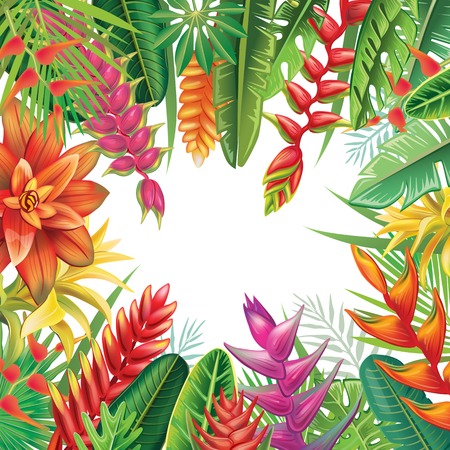Frame from tropical plantsのイラスト素材