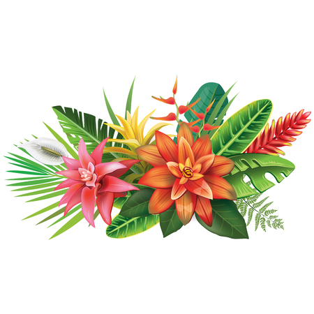 Arrangement from tropical flowersのイラスト素材