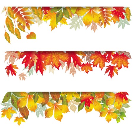 Seasonal banners of autumnal leavesのイラスト素材