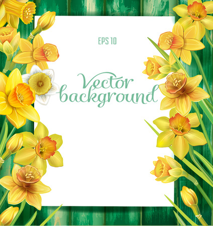 Daffodils flowers on the wooden backgroundの写真素材