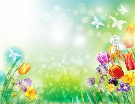 Background with multicolor spring flowersのイラスト素材