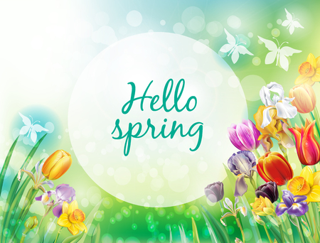 Background with multicolor spring flowers Vector illustration.のイラスト素材