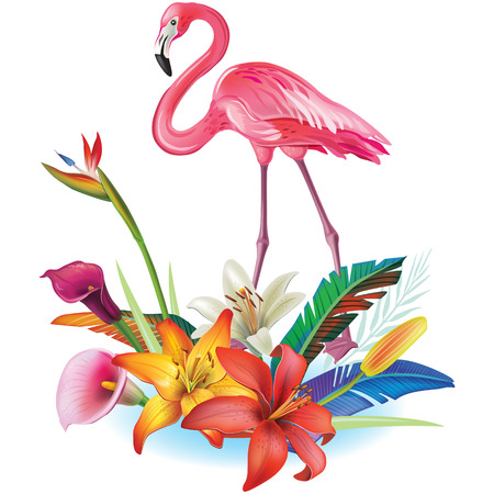 Arrangement from tropical flowers and Flamingoesのイラスト素材