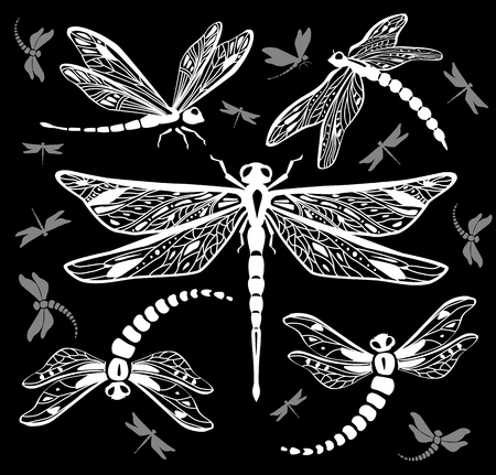 Set of decorative dragonfliesのイラスト素材