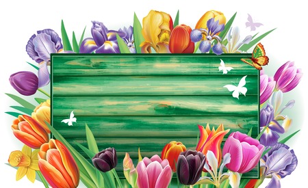 Template for banner from arrangement with multicolor spring flowersのイラスト素材