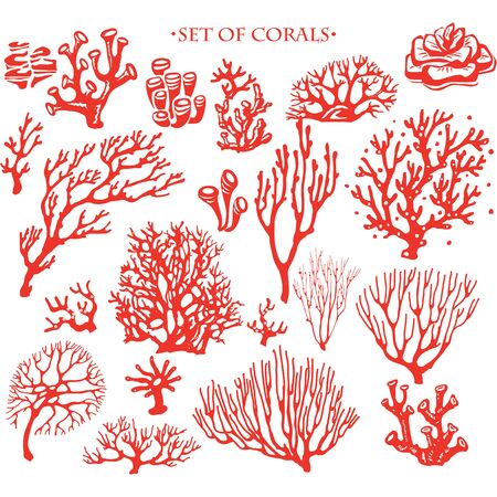 Set of underwater coral reef plants. Tropical coral elements collectionのイラスト素材