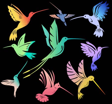 Set of colorful flying hummingbirds Isolated colibri symbol on blackのイラスト素材