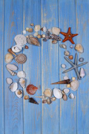 Top view of seashells and starfishes on blue wooden planks background.の写真素材