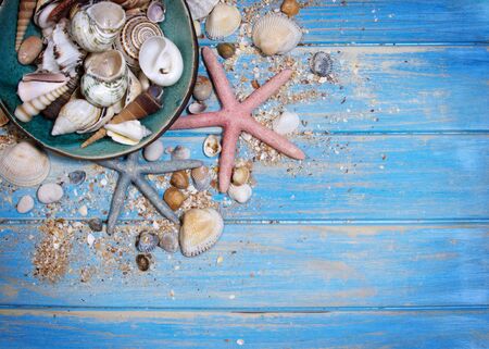 Top view of seashells and starfishes on blue wooden planks and ceramic plate with shells. Creative...