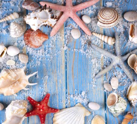 Frame of seashells and starfishes on blue wooden planks. Creative flat lay concept of summer. Frame...