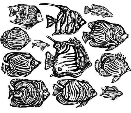 Vector set of Ornamental decorative fishのイラスト素材