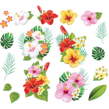 Set of floral elementsの写真素材