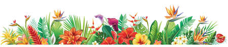 Border with tropical plants and flowers Floral vector illustrationのイラスト素材