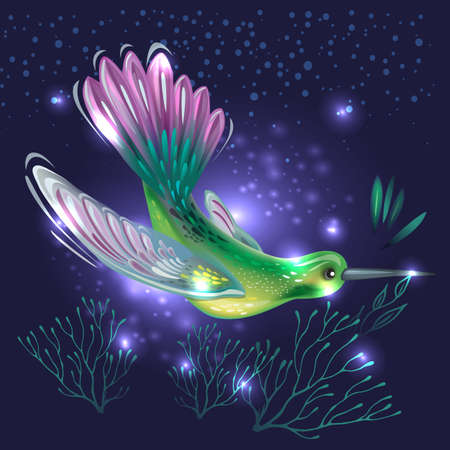 Bright Hummingbird on a dark backgroundのイラスト素材