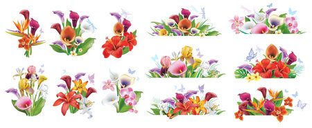 Set of Arrangements from tropical flowersのイラスト素材
