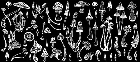 Set of Stylized Magic Mushrooms, outlineのイラスト素材