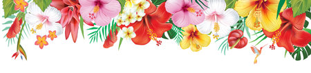Tropical Hibiscus and Exotic Flowers Bannerのイラスト素材