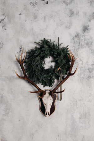 Christmas and New Year concept. Concept made of Deer skulls. Minimal winter holidays idea.の写真素材